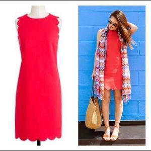Jcrew scalloped dress in bright poppy color